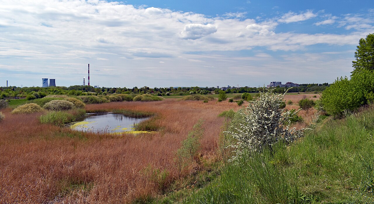 Fontanna na Placu Centralnym